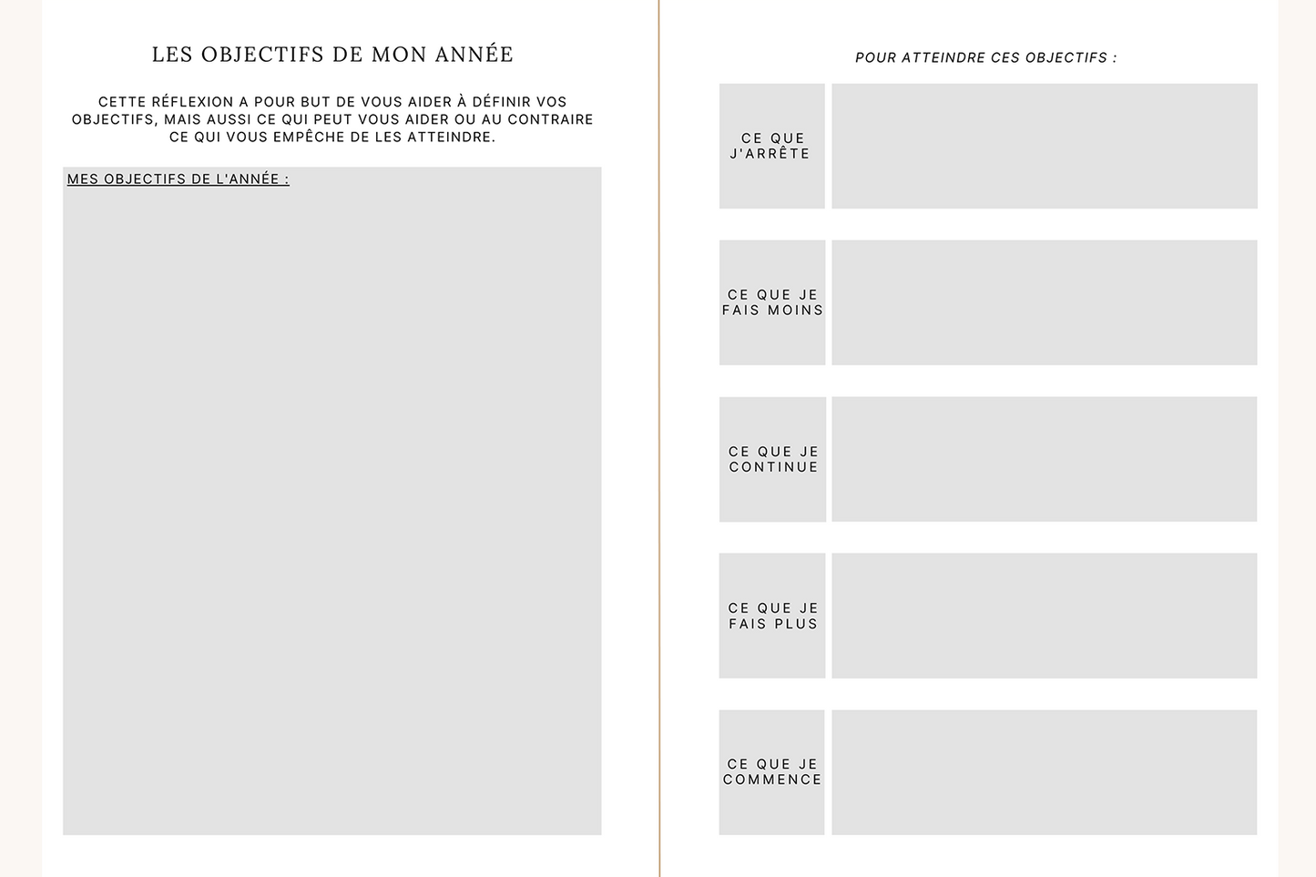 Visuels de pages que l'on trouve dans l'agenda Jill où vous pouvez inscrire tous les objectifs de votre année et ce que vous allez mettre en place pour les atteindre.