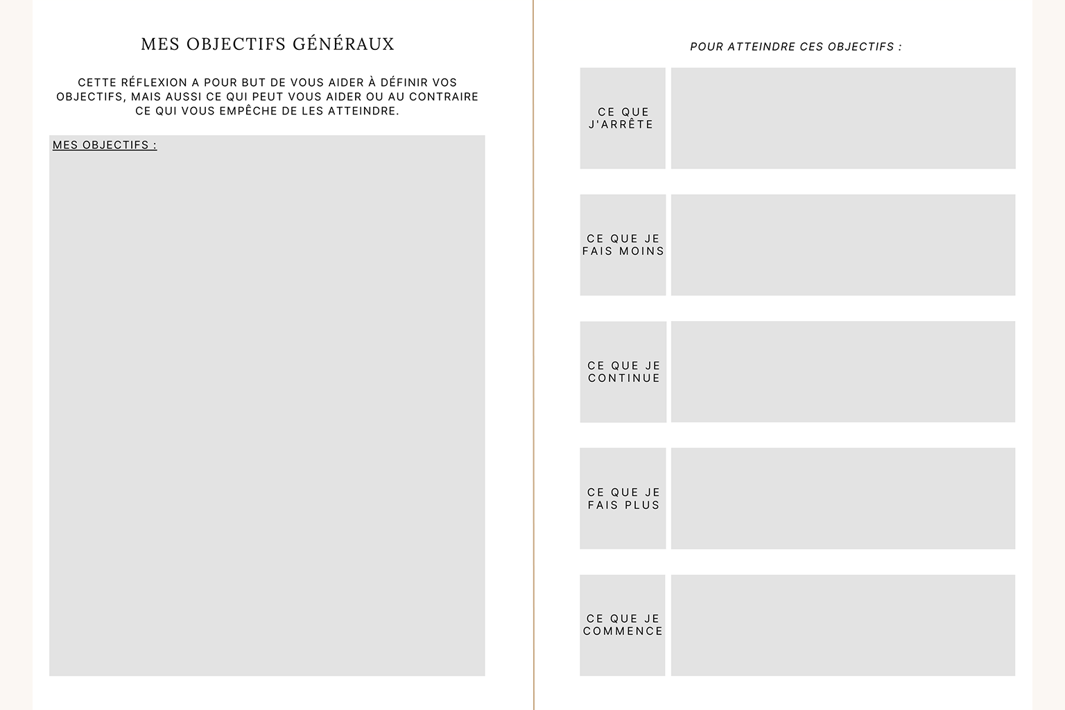 Visuels de pages que l'on trouve dans l'agenda Alix où vous pouvez inscrire tous les objectifs de votre année et ce que vous allez mettre en place pour les atteindre.