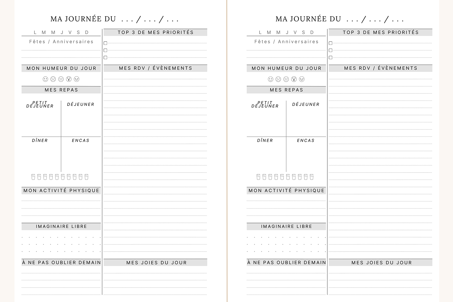 Visuel de l'agenda Lea représentant 2 pages avec un planning quotidien. Sur chacune de ces pages, vous trouverez : les fêtes et anniversaires, votre humeur, vos repas, votre activité physique, vos priorités, vos rendez-vous, vos gratitudes ainsi qu'un espace imaginaire libre.