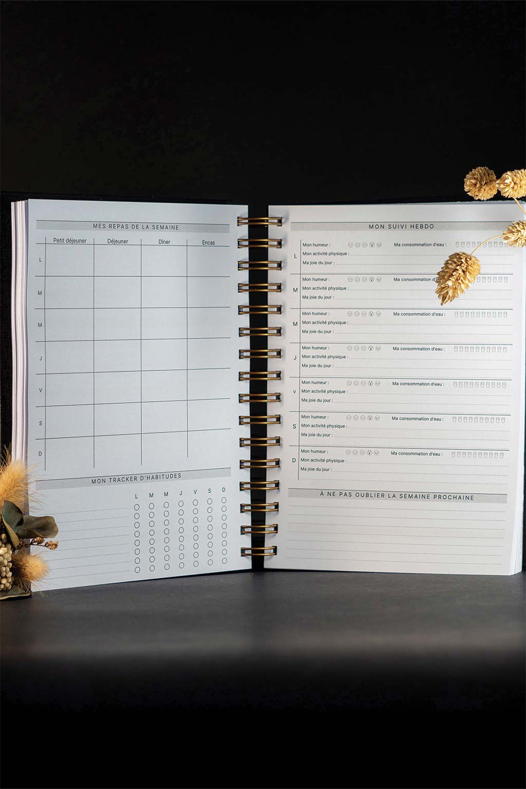 Photo de l'intérieur de l'agenda Jill avec la deuxième double page de la semaine. L'agenda est sur un fond noir. Les seuls éléments de décoration que l'on aperçoit sont des fleurs séchées.