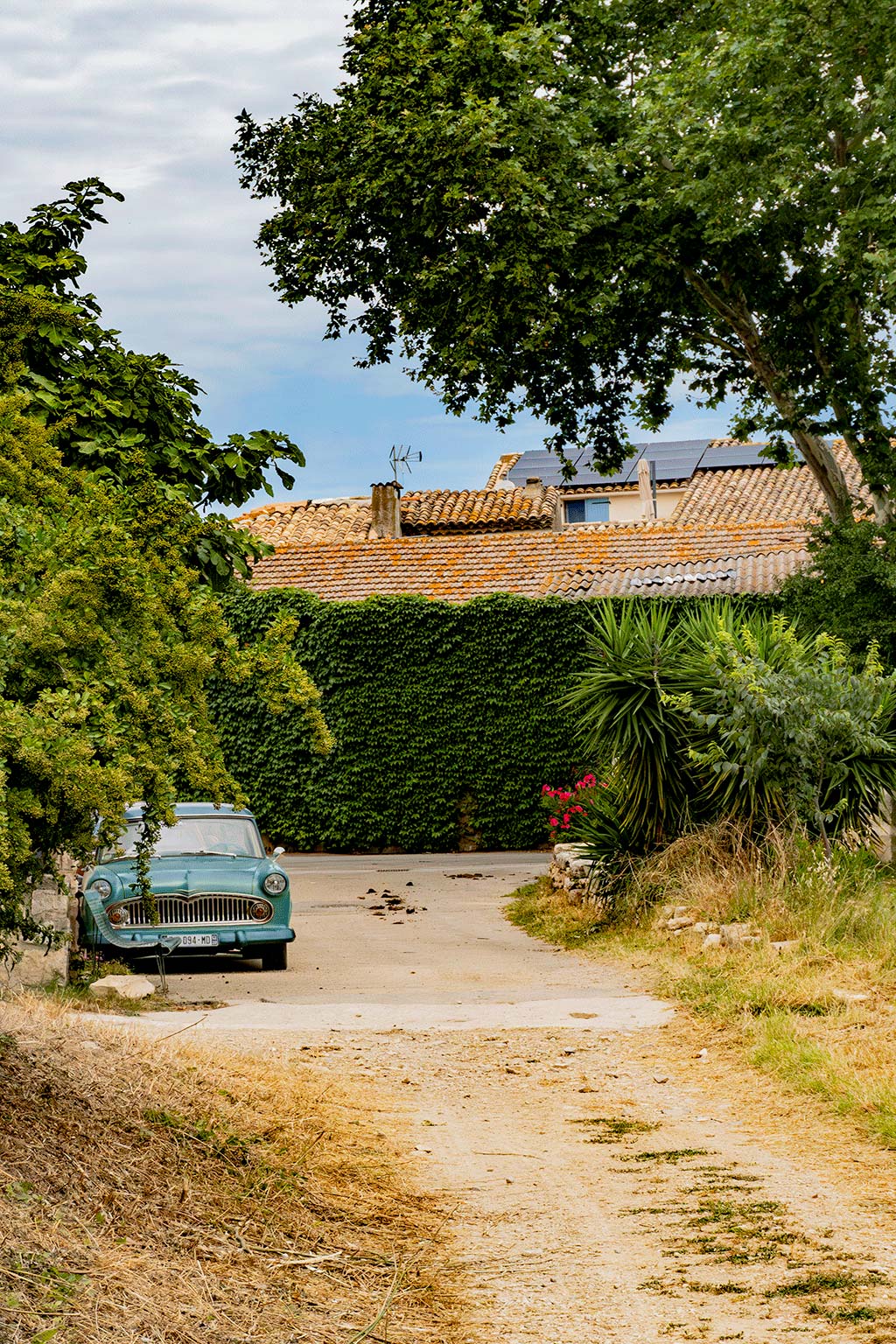 Photo d'une entrée de maison ou l'on peut apercevoir une vielle Cadillac bleue clair sur la gauche, des yukas sur la droite et une haie de cyprès dans le fond